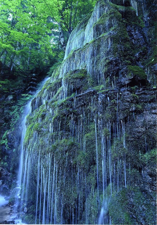 湯沢グランドホテル 湯沢市 エクステリア 写真